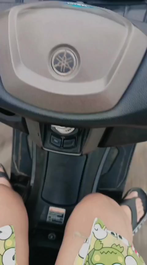 @🐷848Y🐷