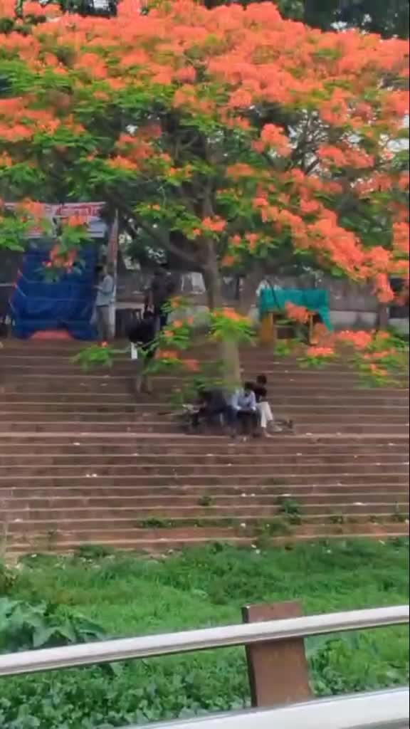@NoYon BhuiYan ..🕊️💫