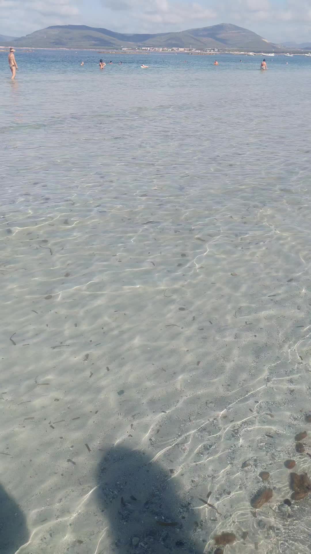 @silvylazza