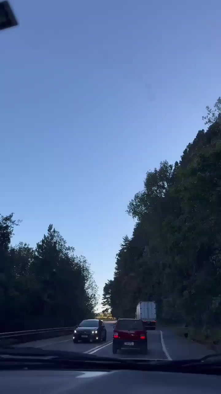@ÁVIDA 👑