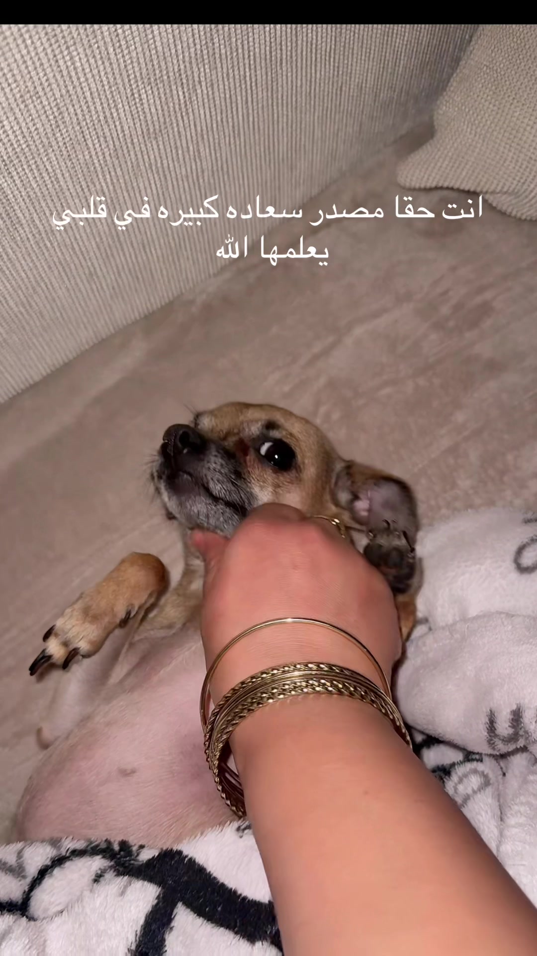 @👑لايدي سمارا👑