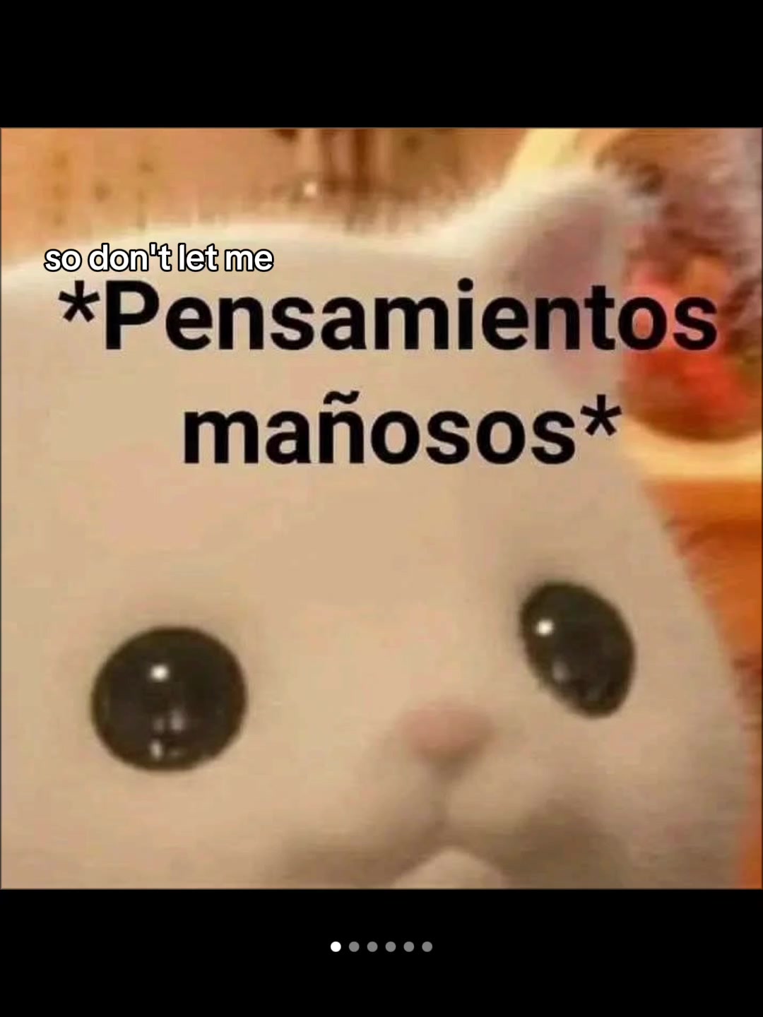 @Myregilody🩷