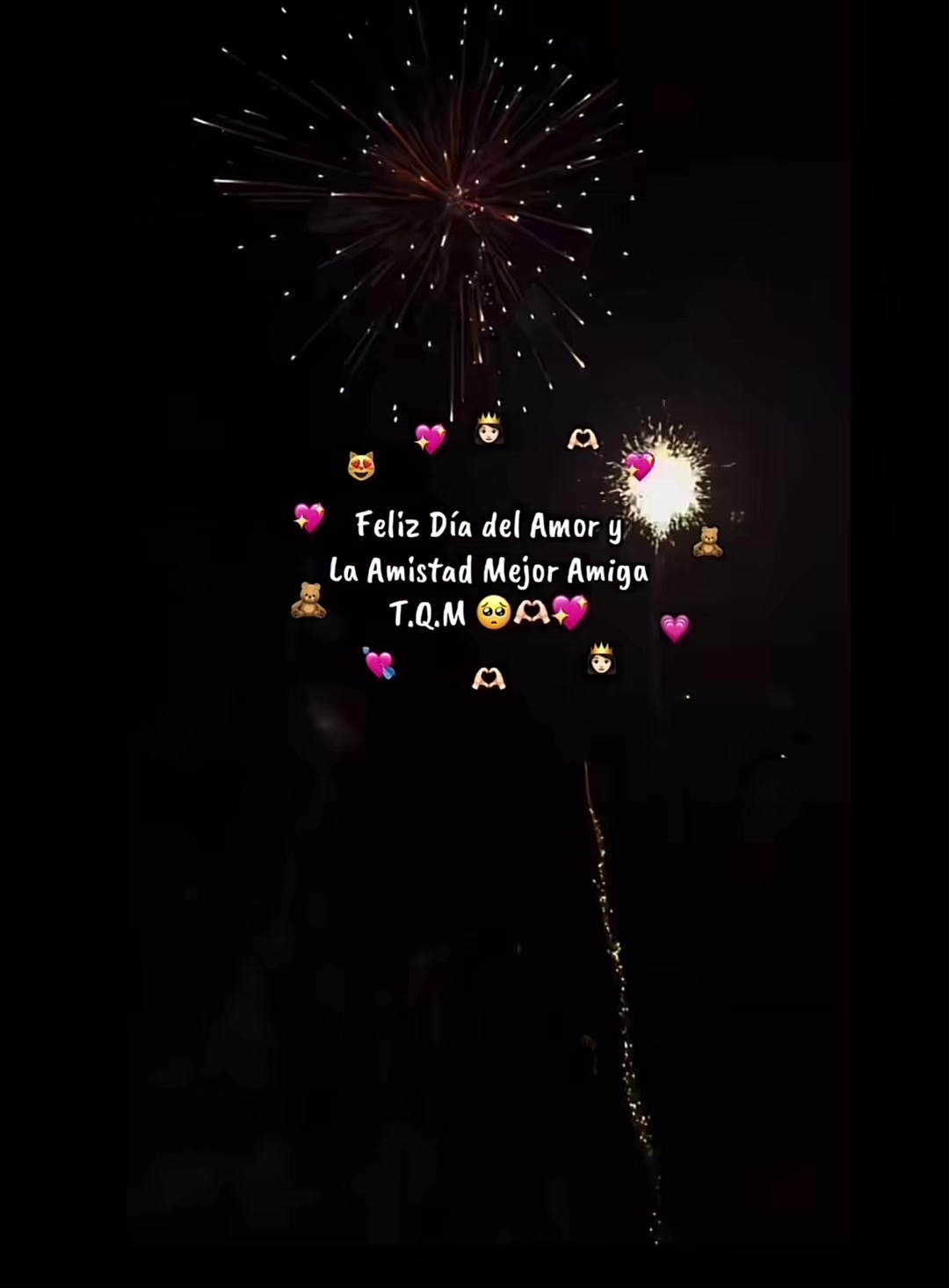 @✨ ‧𝒱𝒾𝒶𝓃𝒾‧ ✨