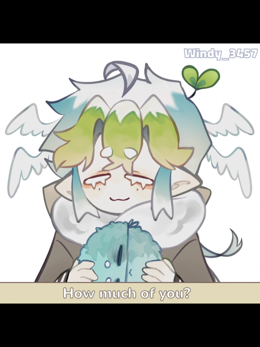 @Windy