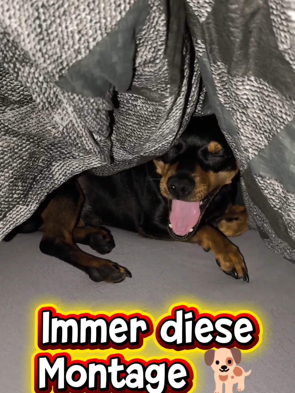 @ICH BIN'S