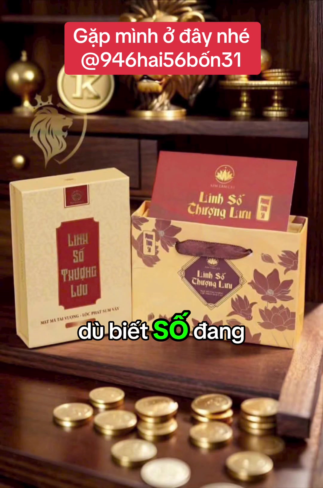 @Hoa Hướng Dương 6768