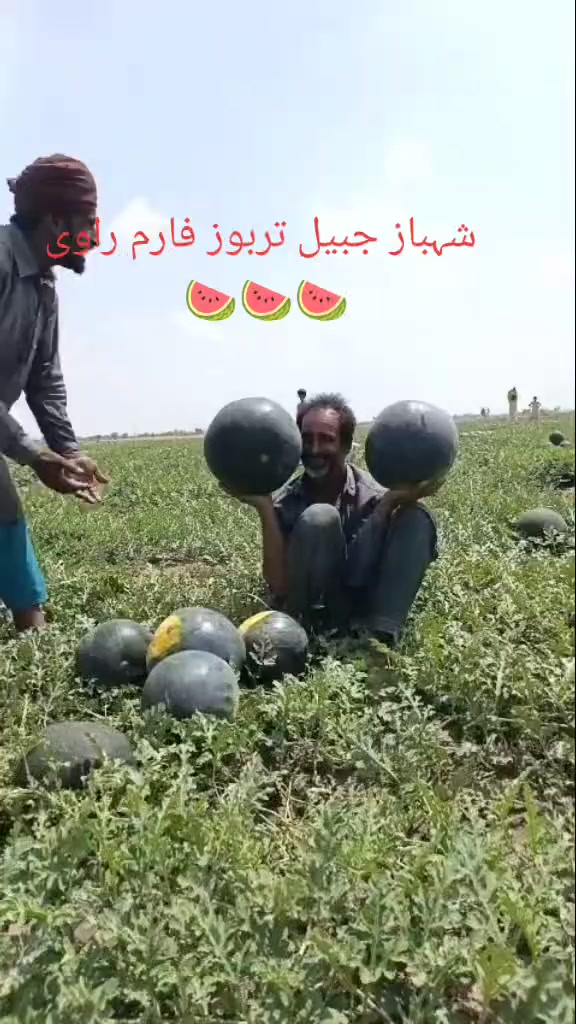 @shahbaz Punjabi 0786