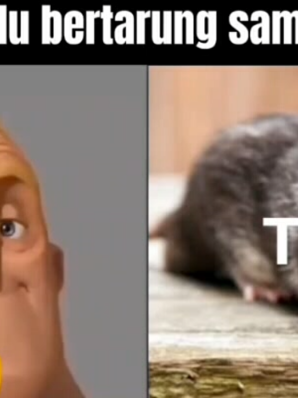 @CreMewski