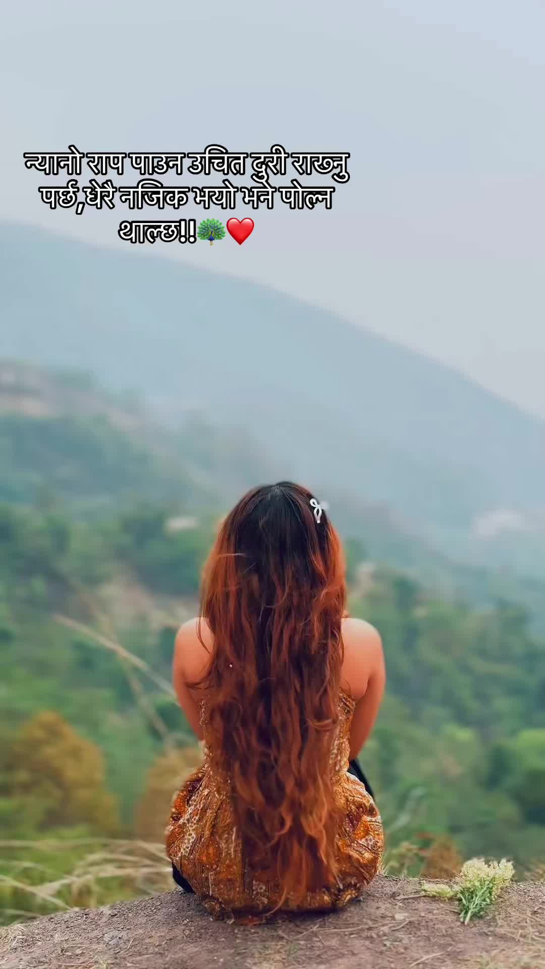 @🦋