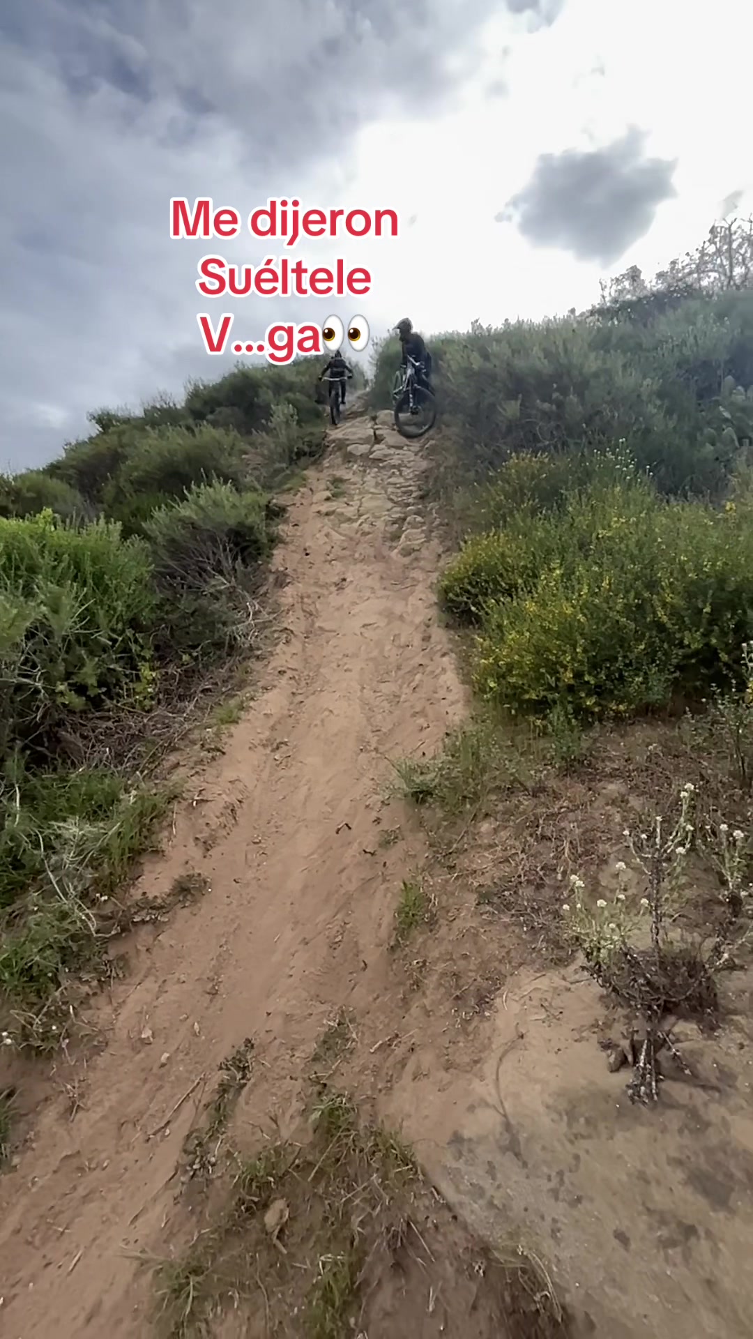 @Mtb BESTIA!