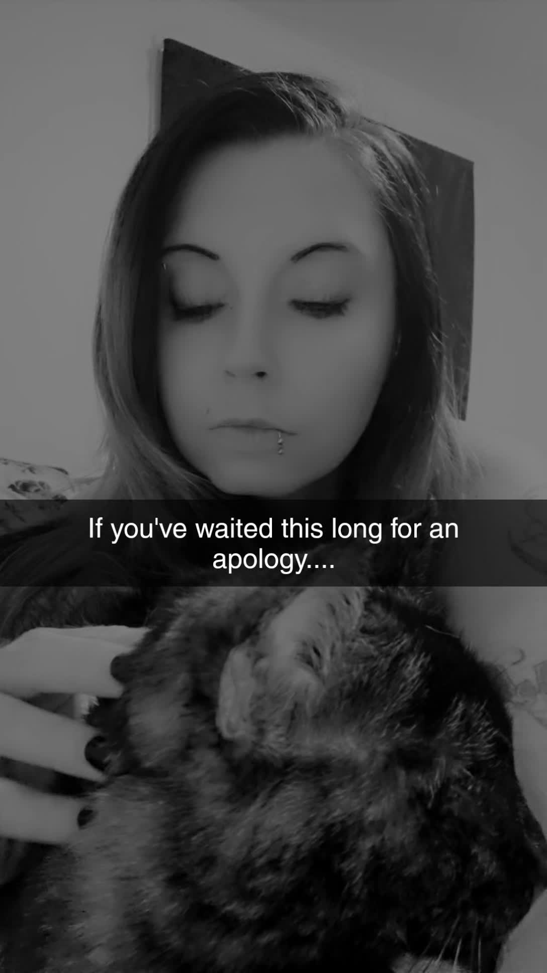 @kitten_always