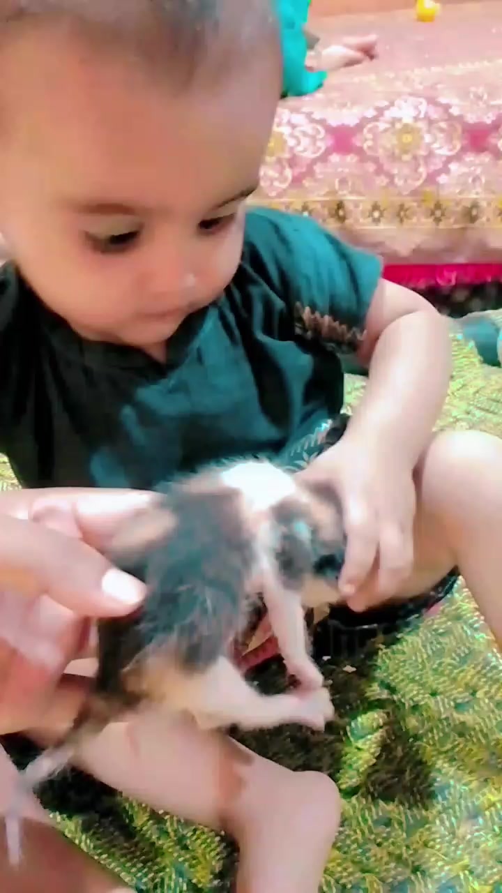 @alihassin865