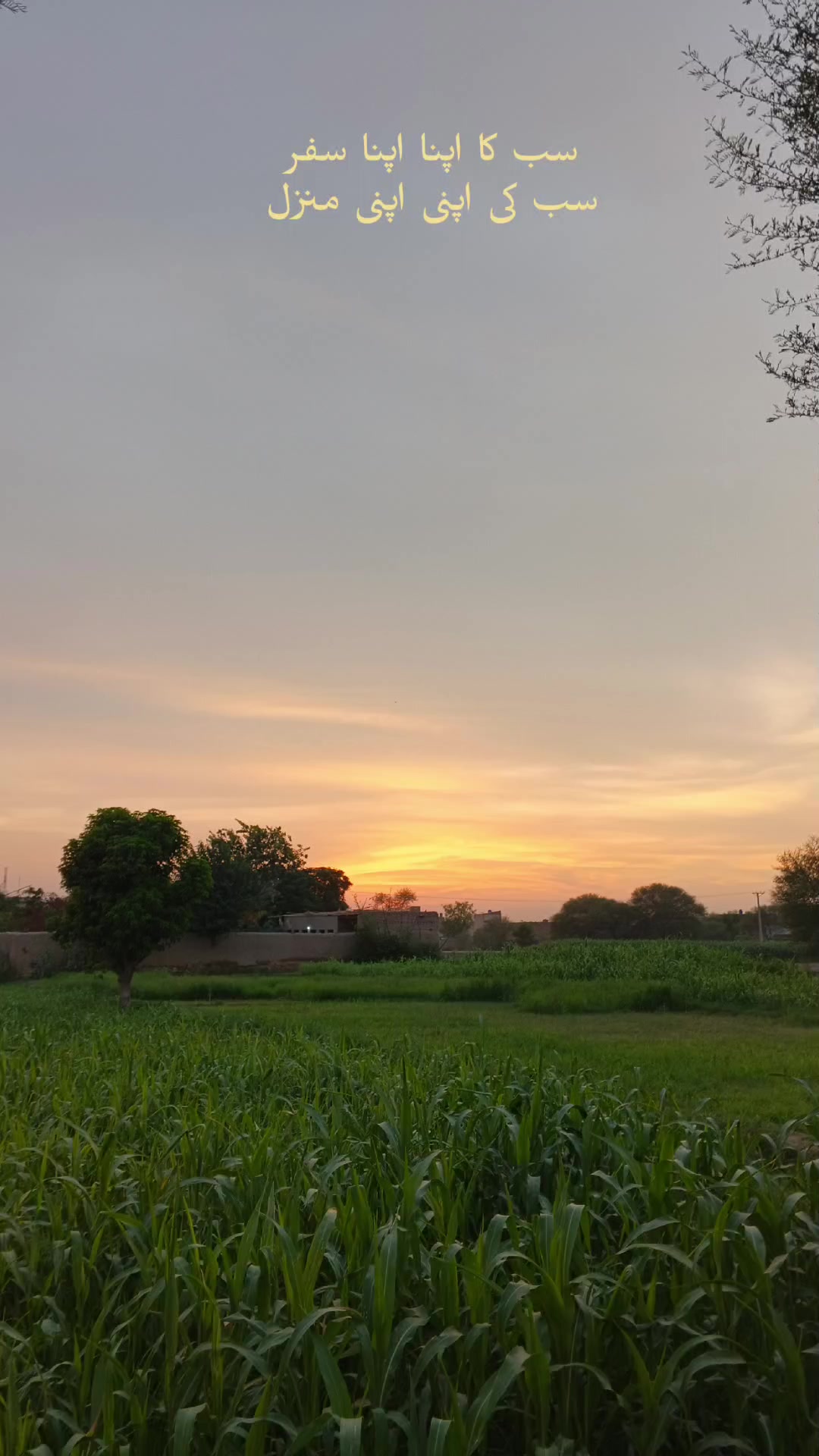 @Muneeb.Shah 🔥