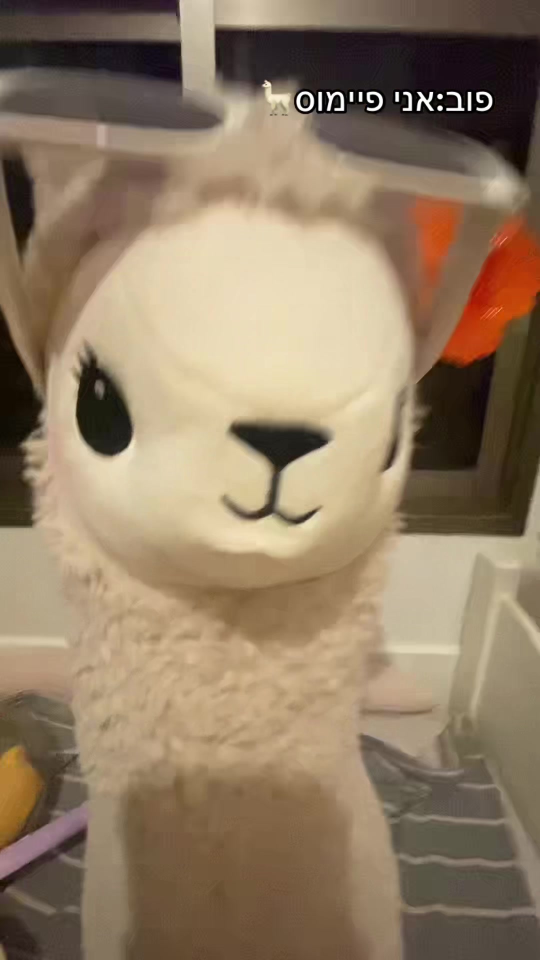 @שלומית הפיימוס 🦙🦙