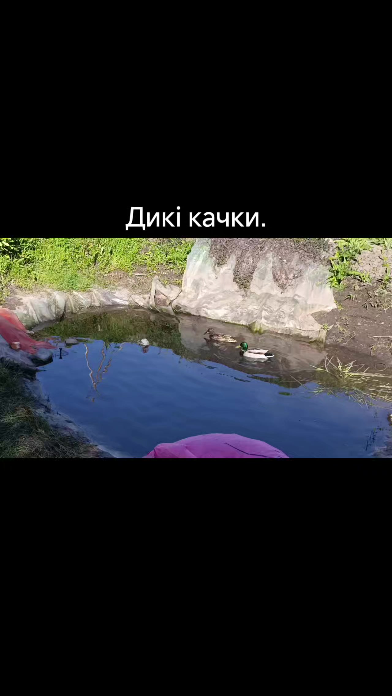 @Олег