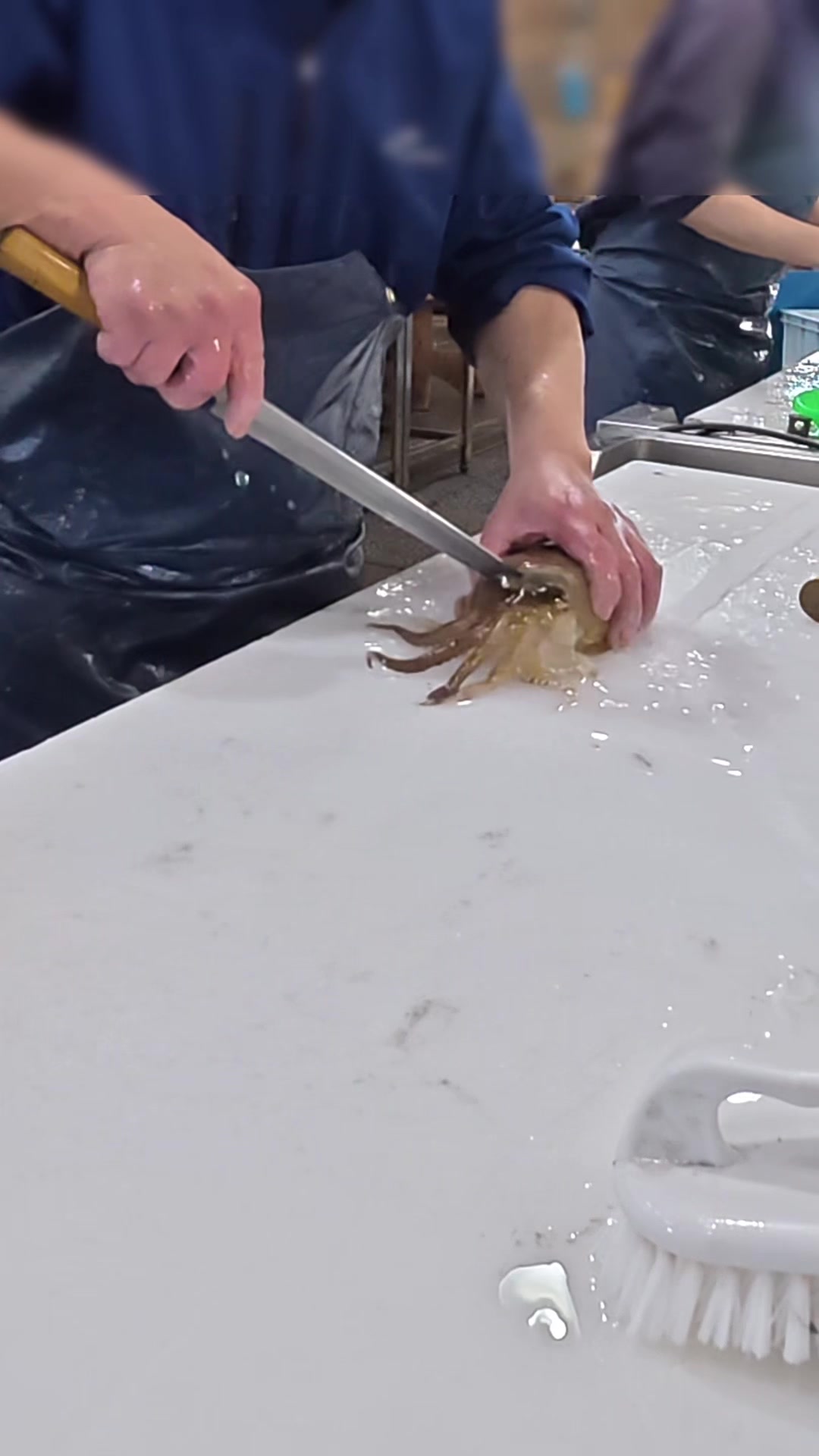 @鳴門魚市のサブ垢