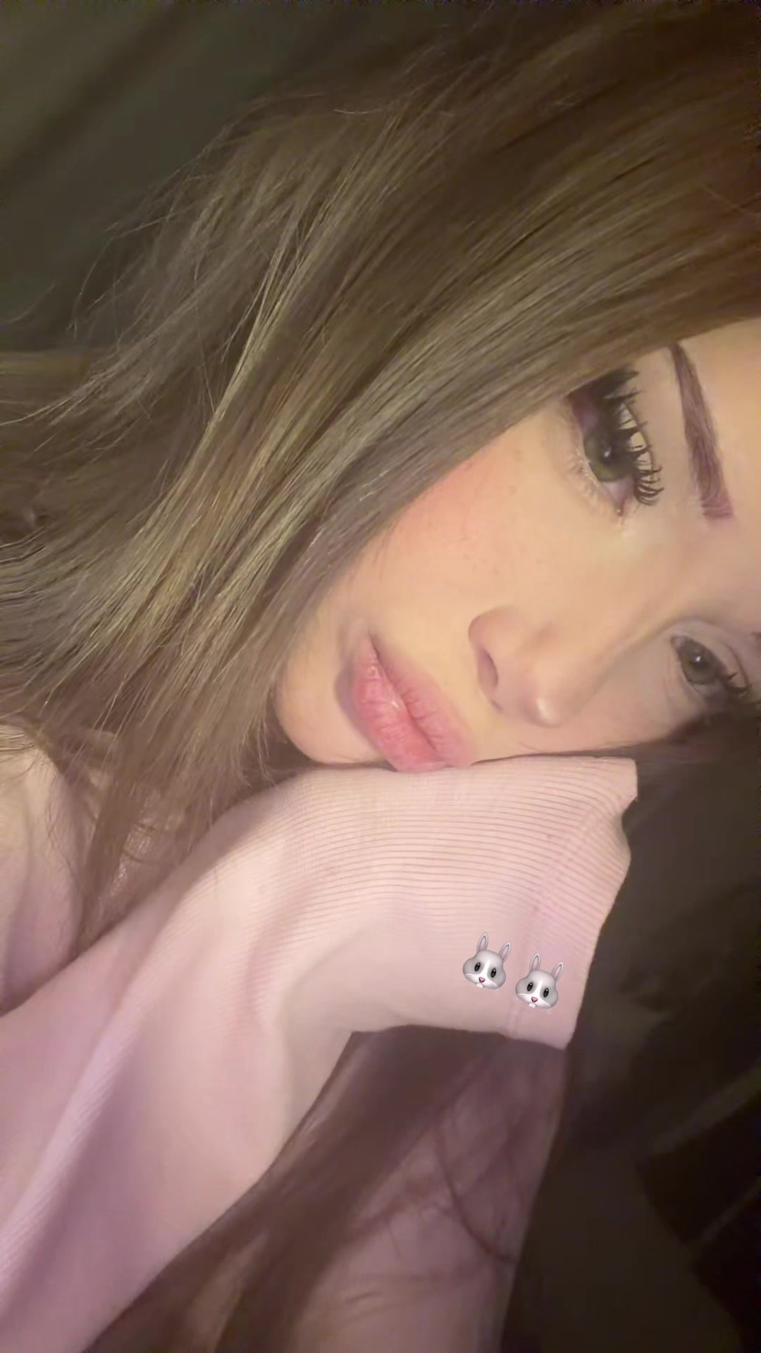 @westvett1