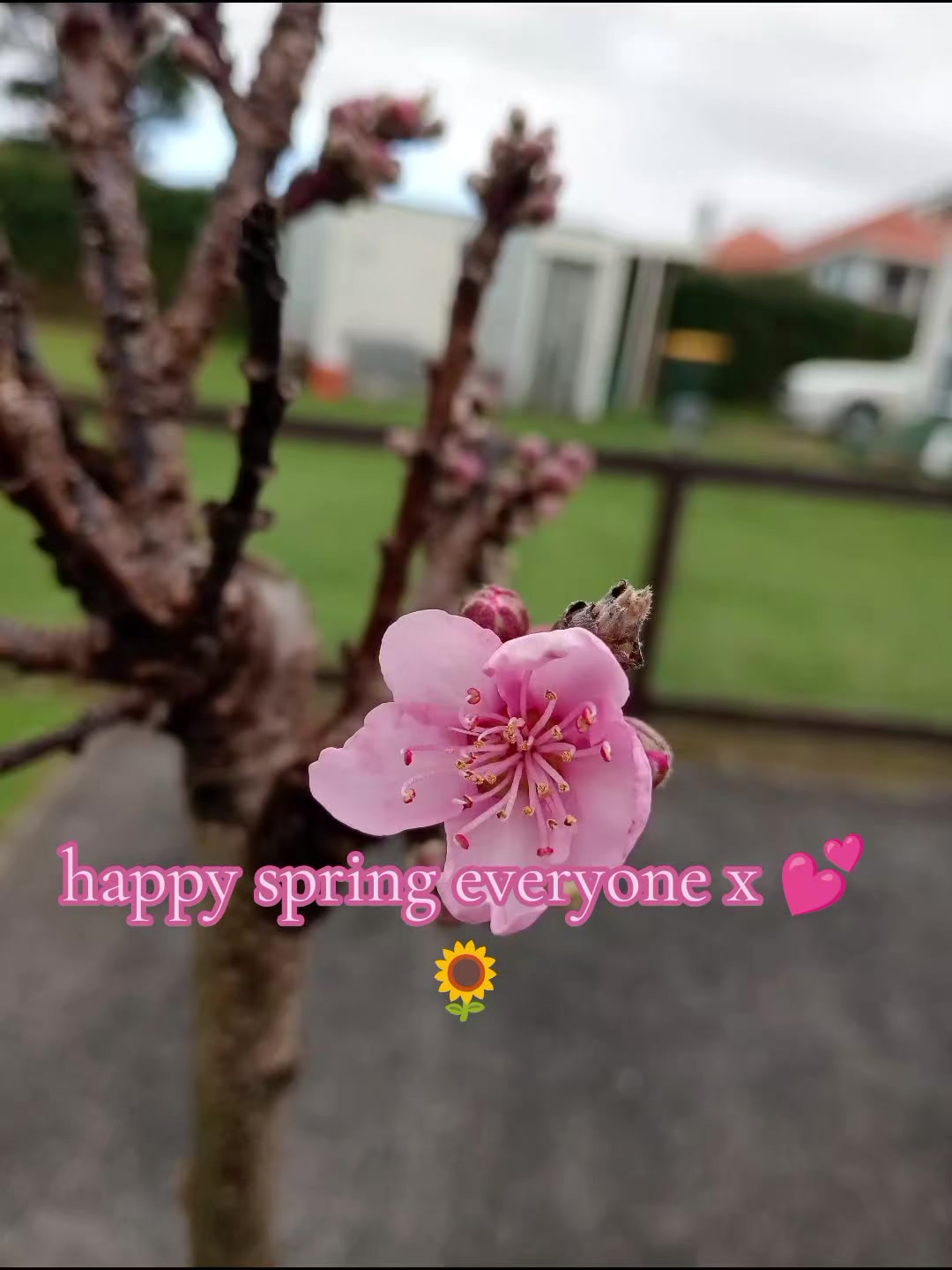 @AotearoHAXXx