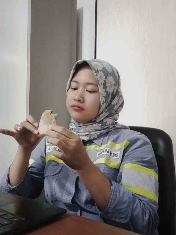 @dini safriana