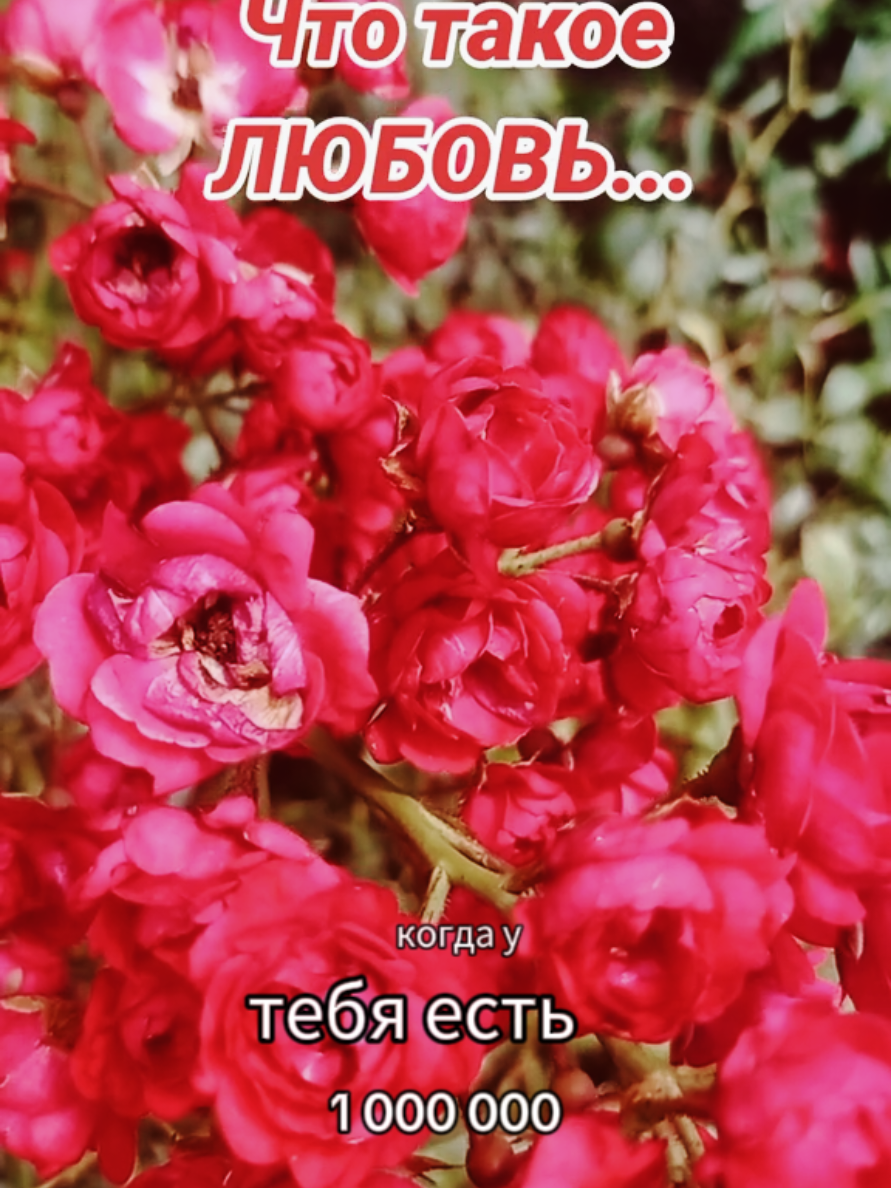 @Марина 🌹🍃