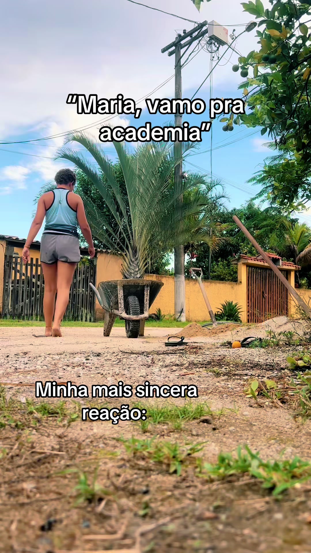 @Maria Baltar