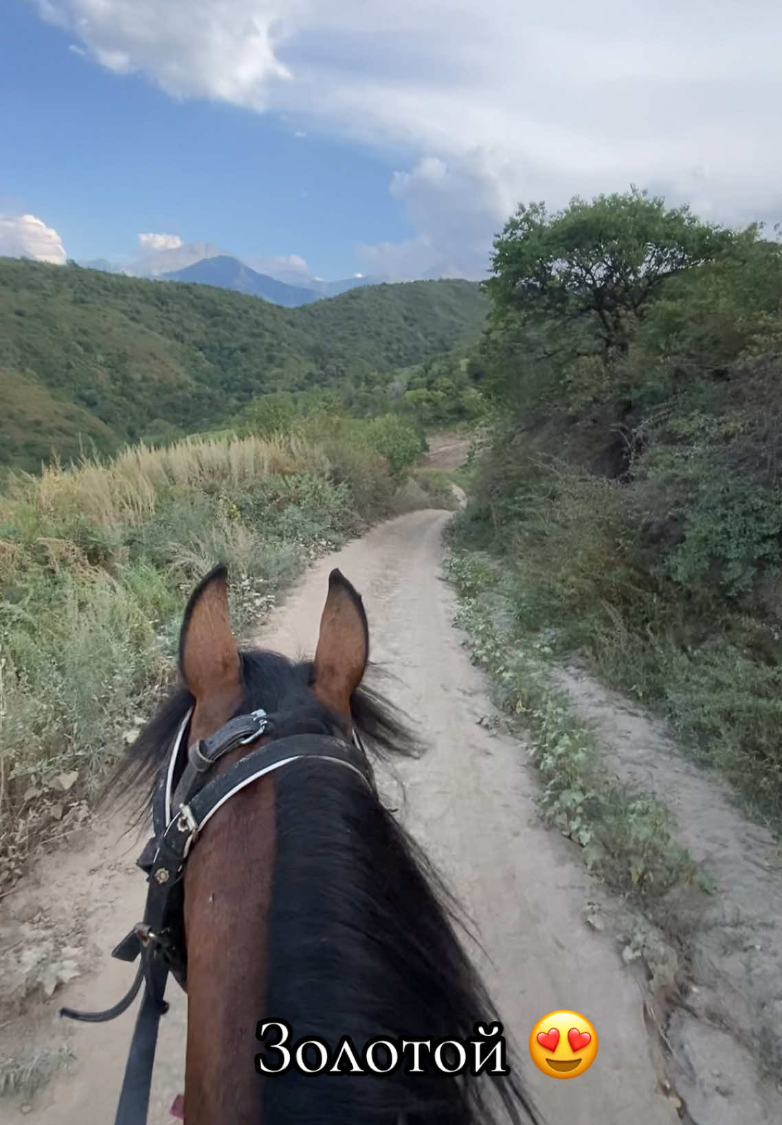 @jockey.hors