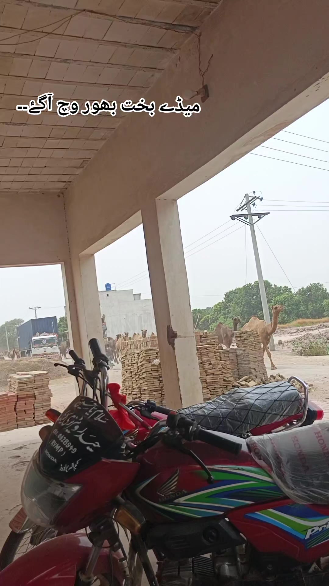 @Dr Mohammad Raza Kachala