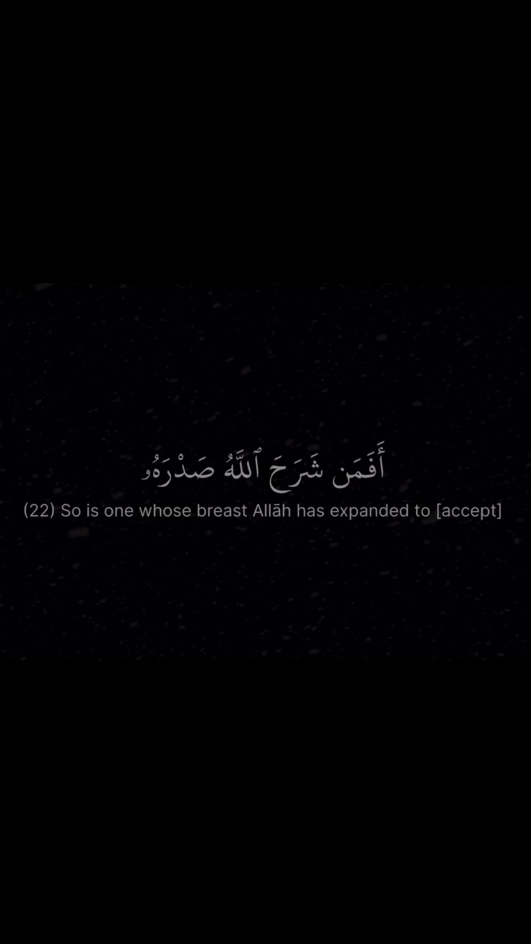 @Quran reciters