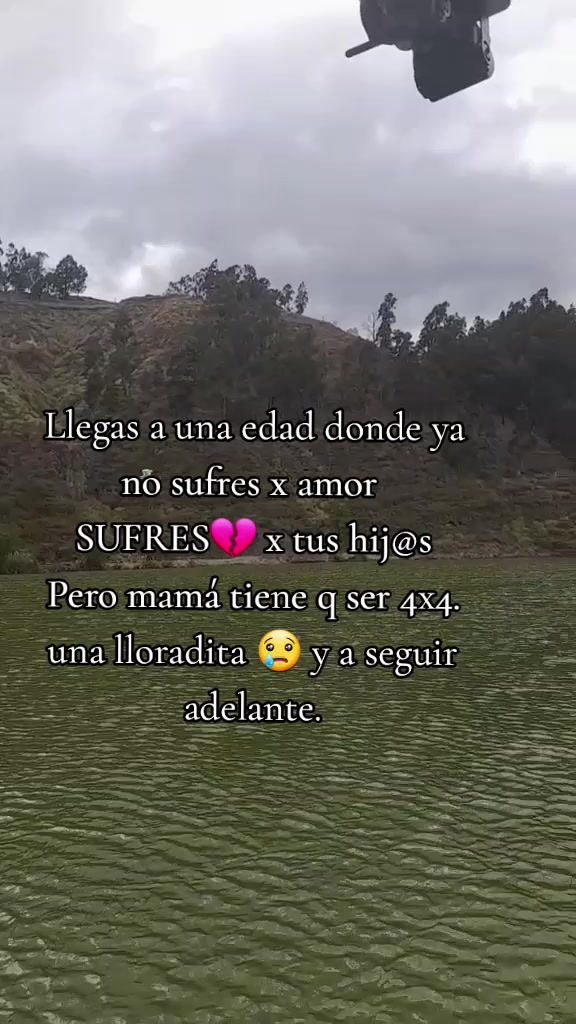 @Elyp1981