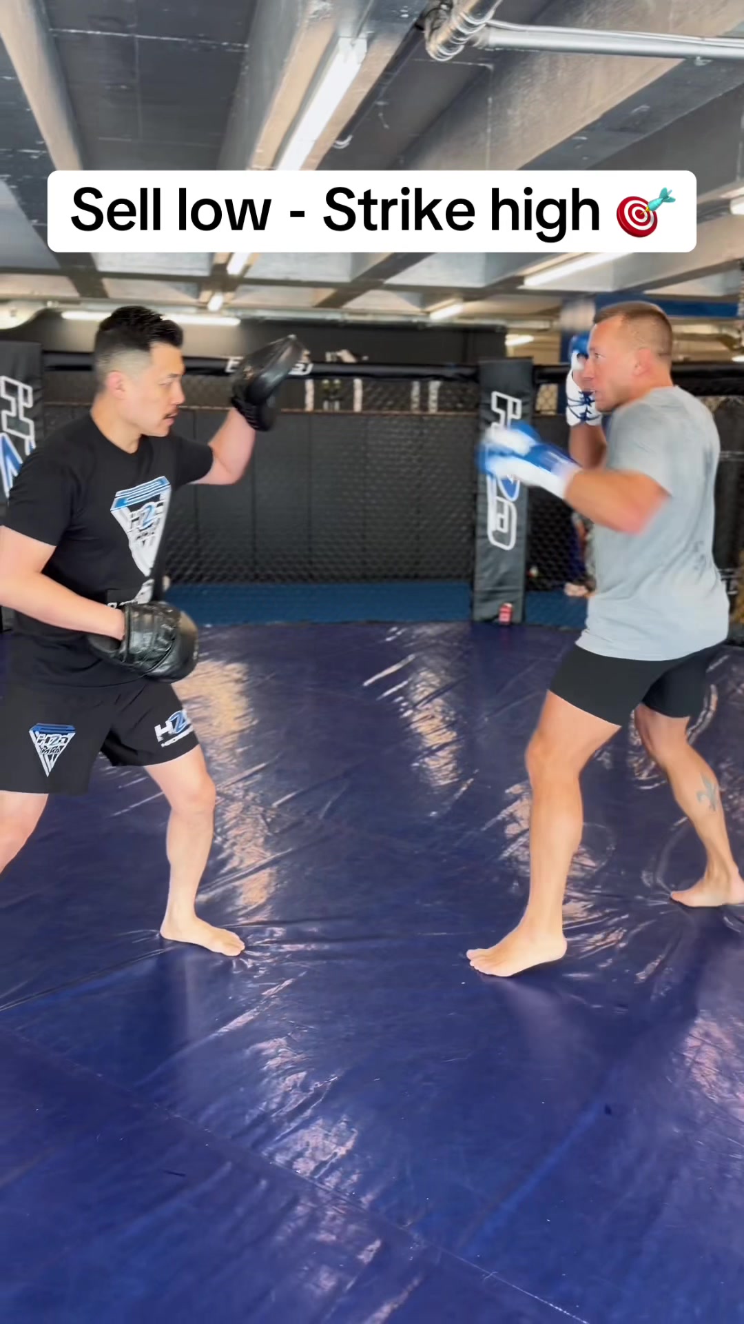 @Georges St-Pierre