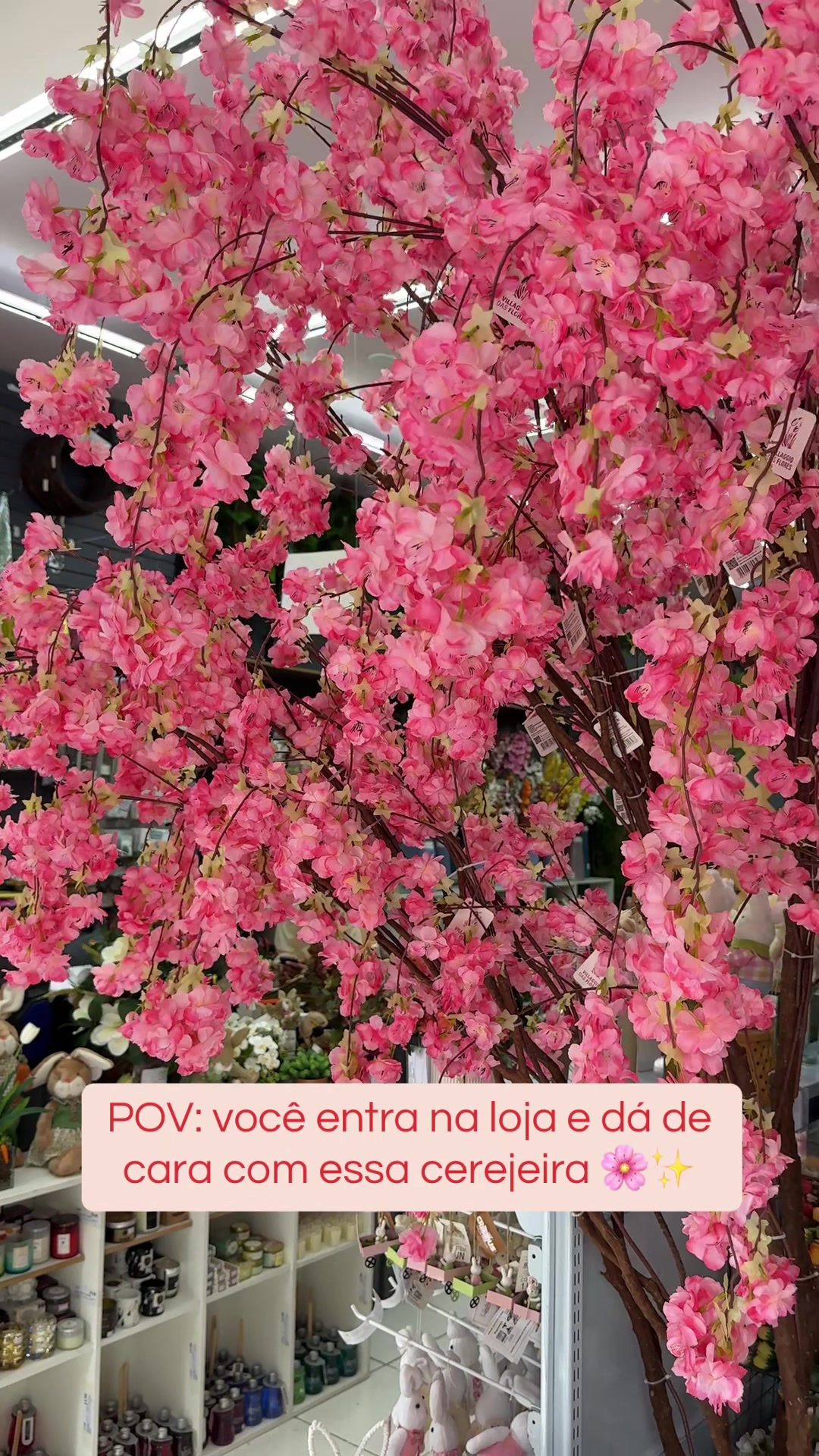 @TUTI FLORES