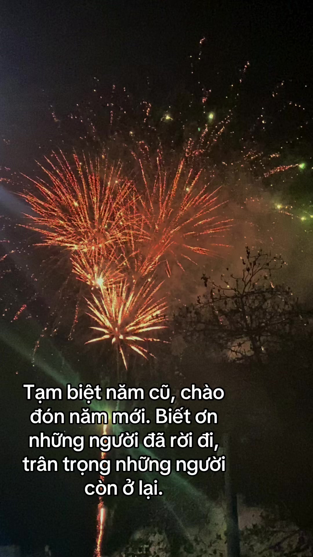 @Choi jinhee