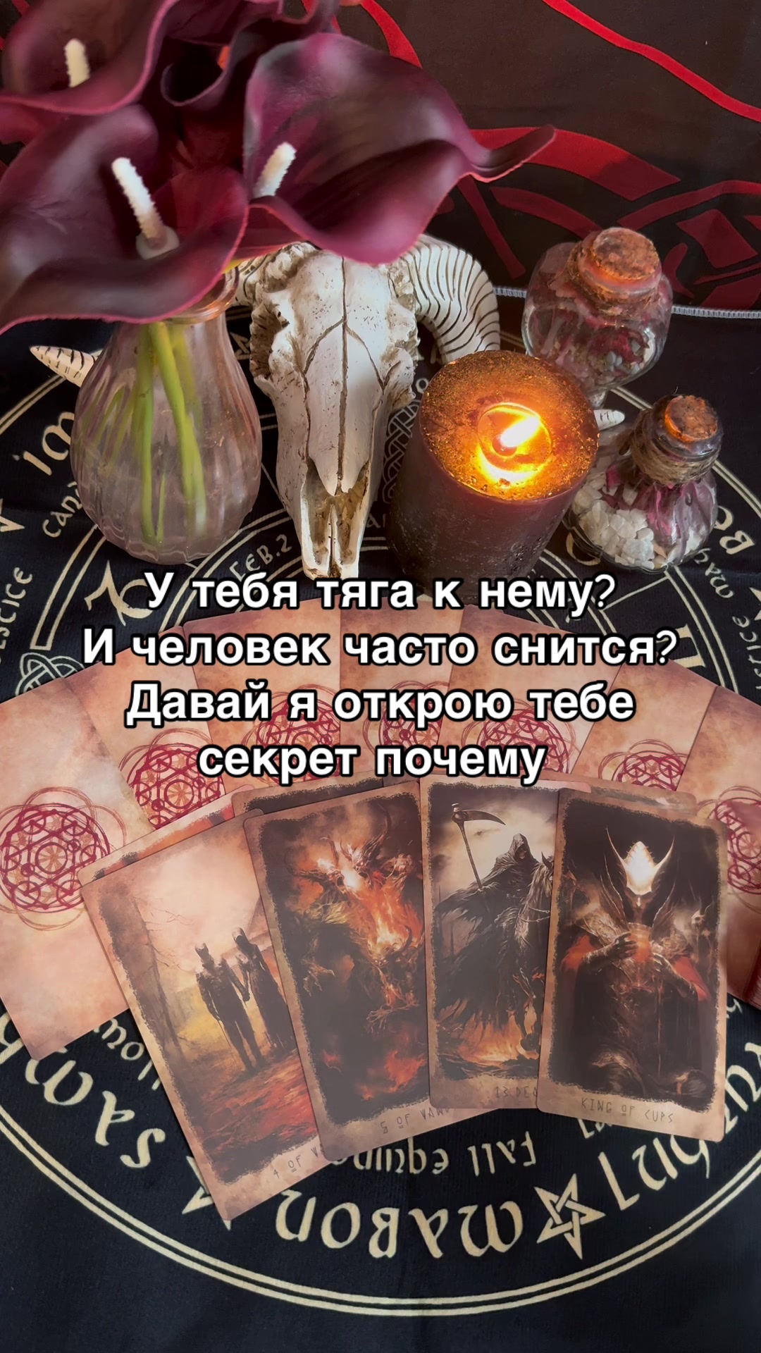 @Oksi_fox