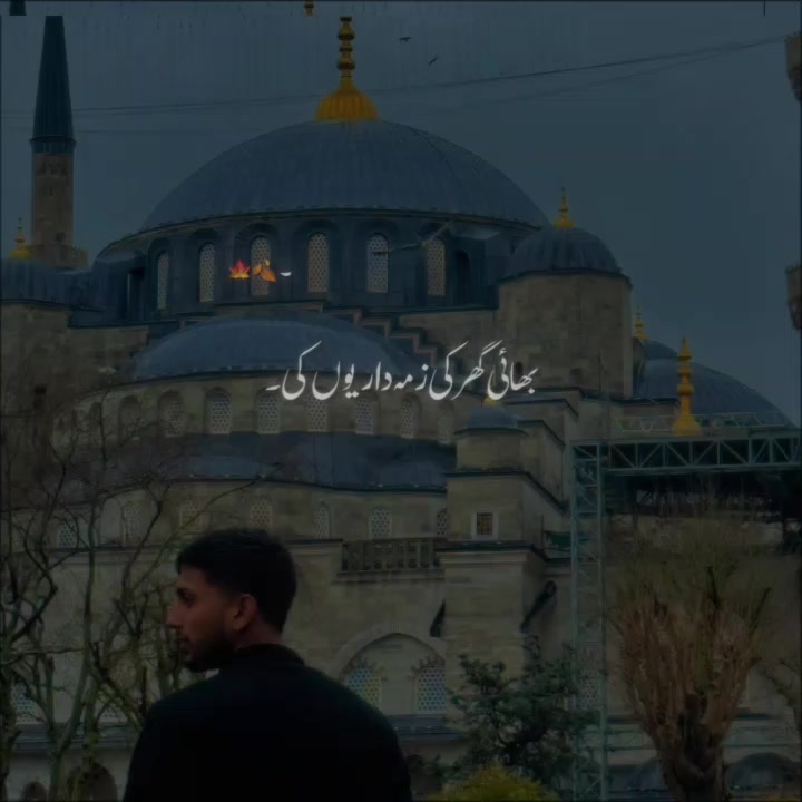 @zaid Ali
