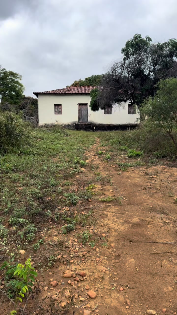 @Jailton dos Anjos 🤠