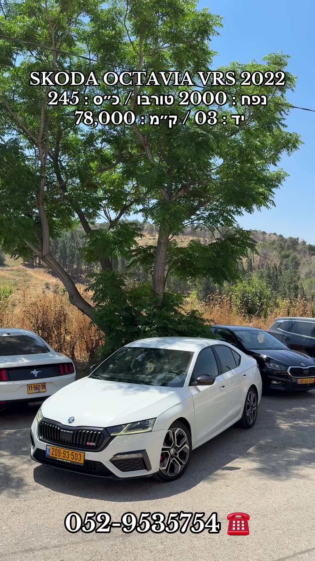 @moaad luxury motors