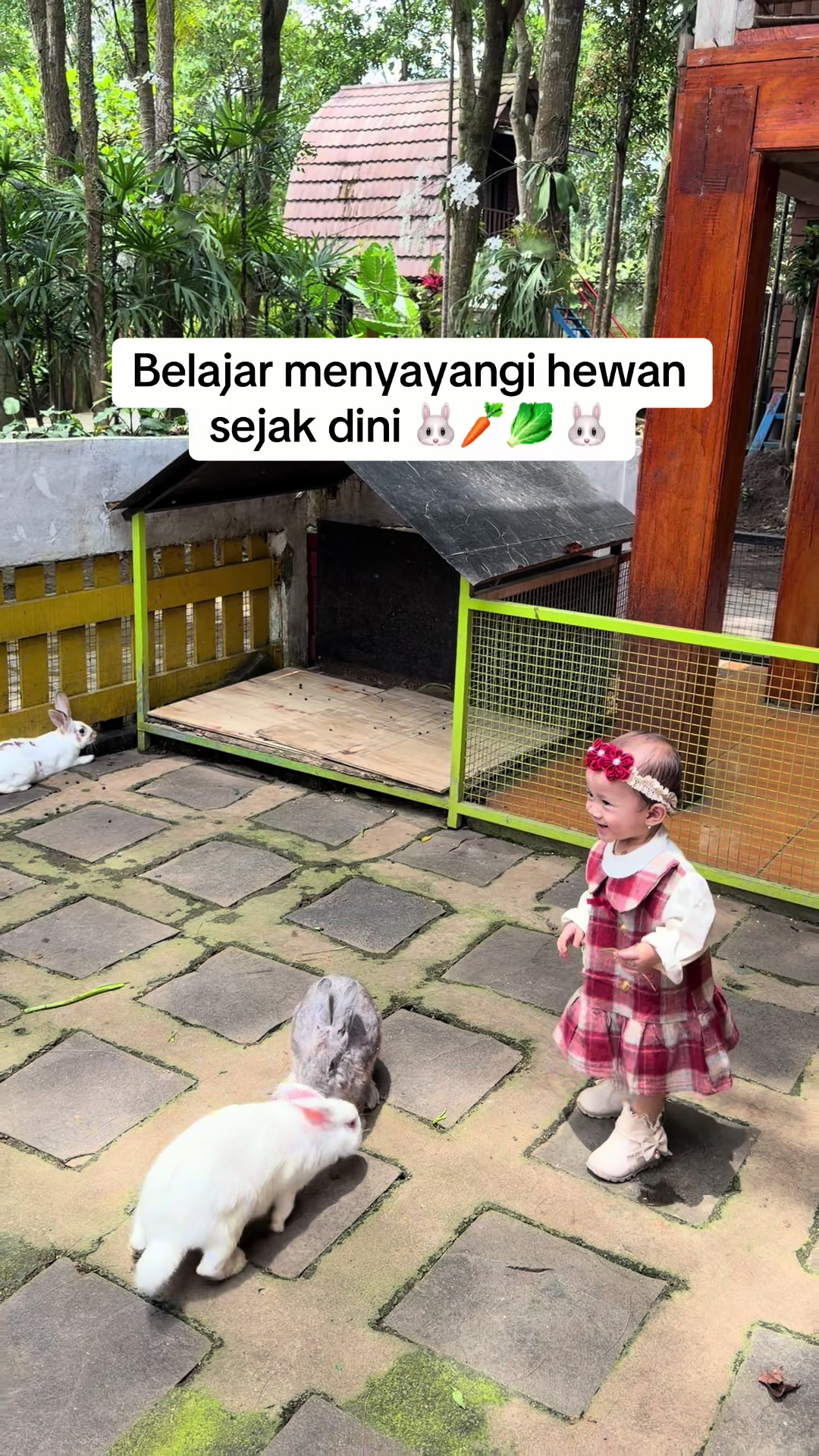 @Shafana Hafsa 🎀