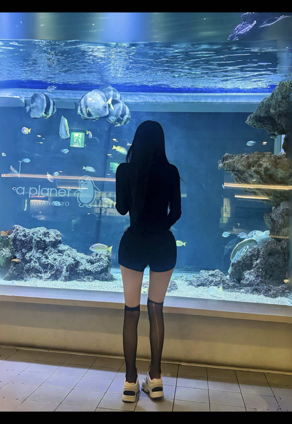 @베베의이중생활