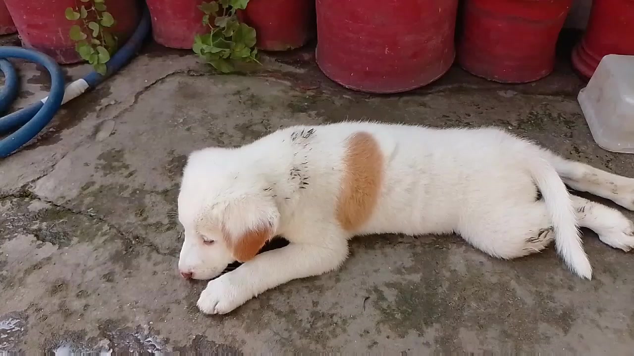 @NaSiRqUrEsHi
