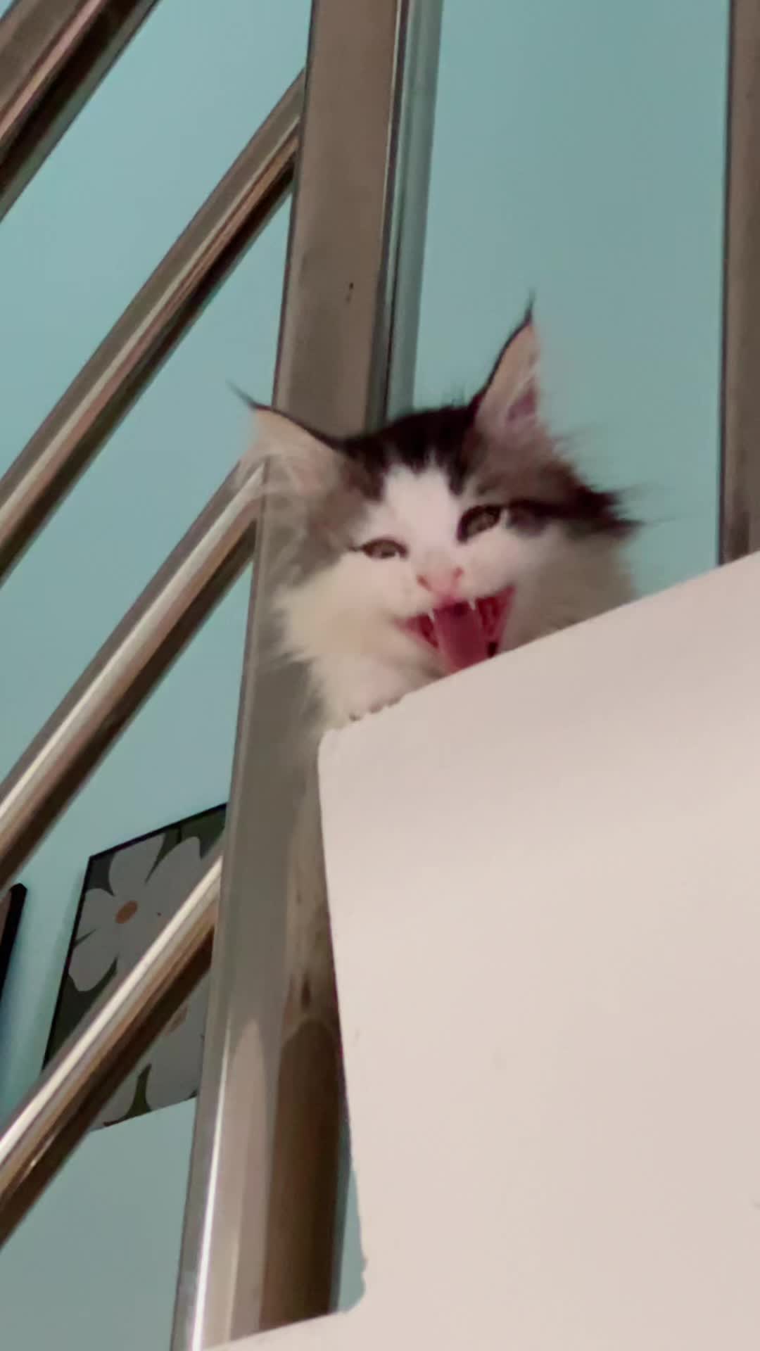 @MJ
