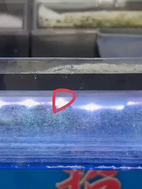 @招財魚水族精品