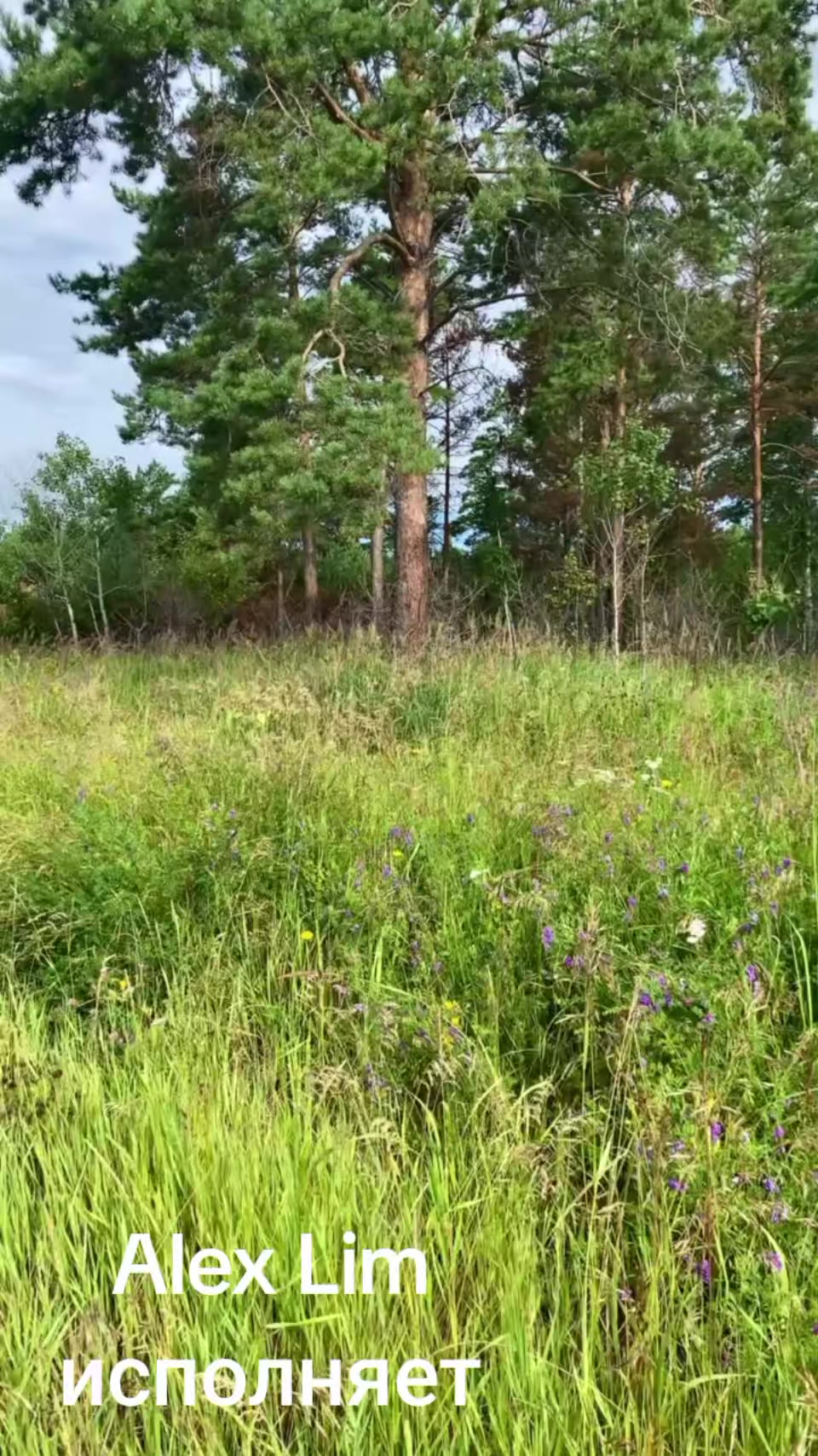 @Деревенская бабушка