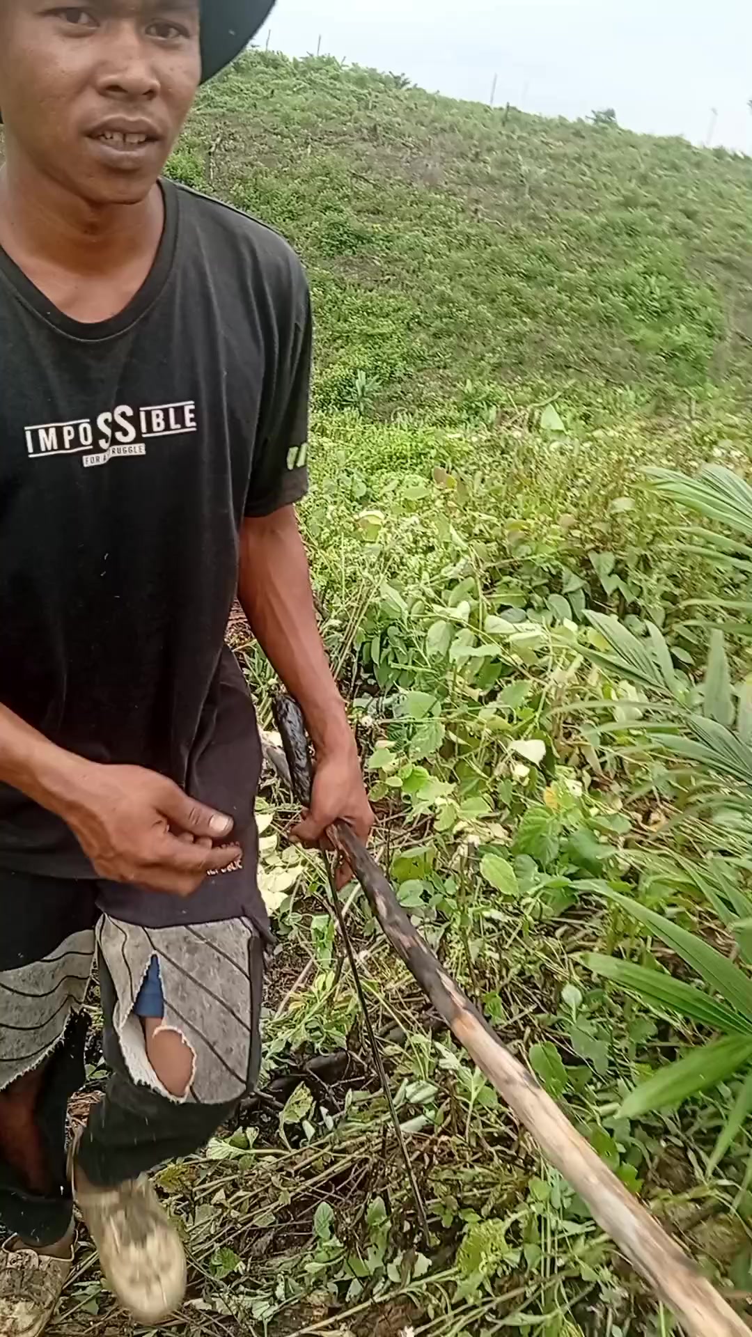 @syafrida