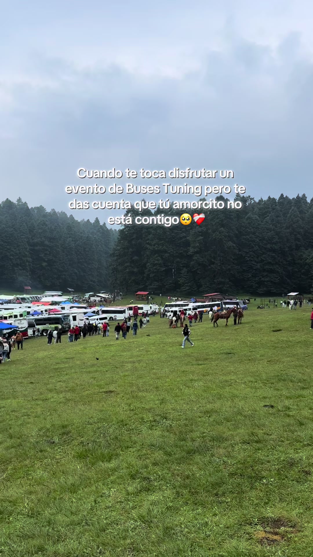 @lisztaniia✨🩷