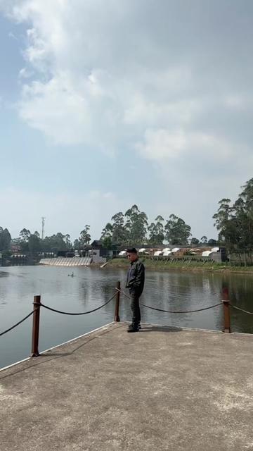 @Dim Manullang