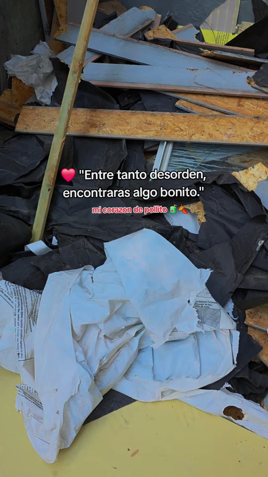 @Edwintzoc