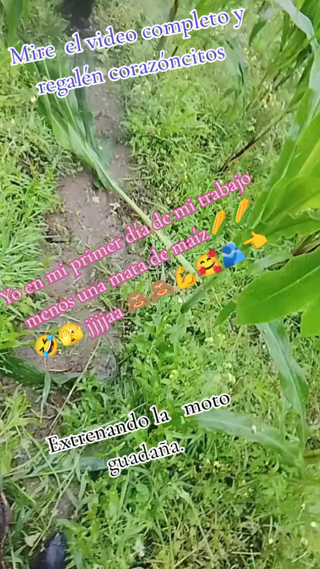@@🥰Poaquiza💞Angel,💌🫶🤙❤️👈.