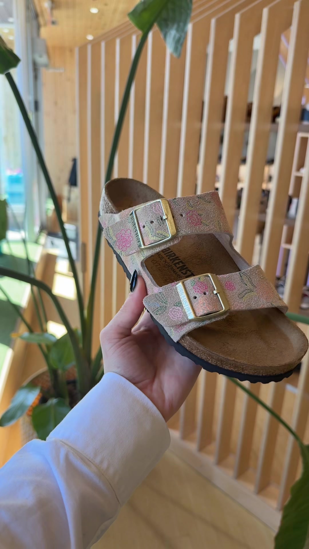 @Chaussures Pierre Roy