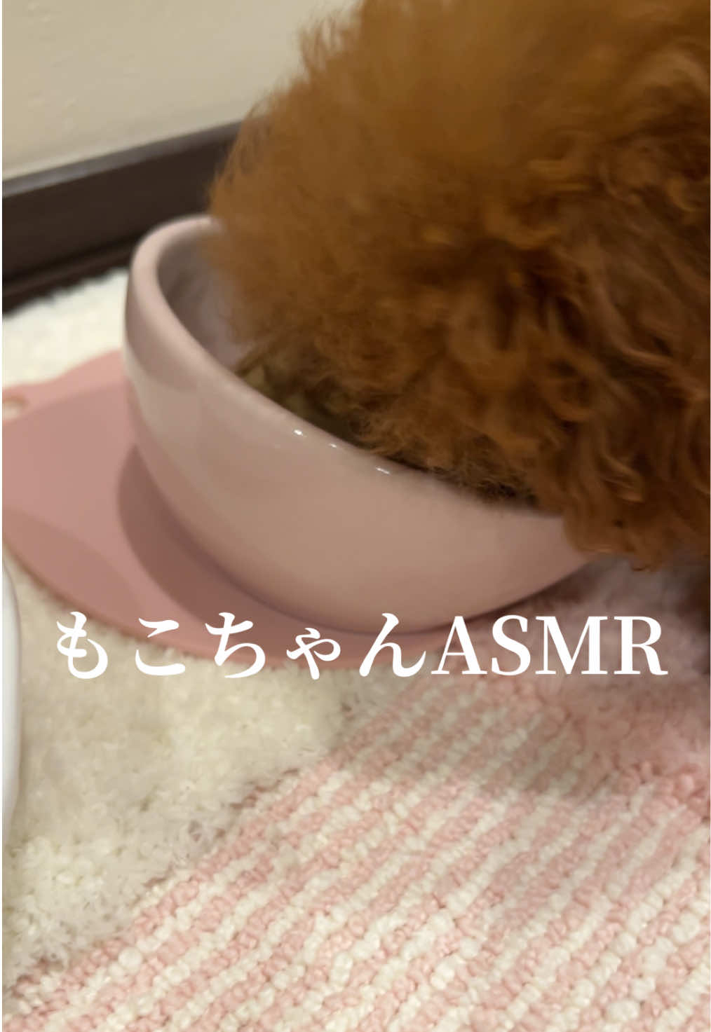 @もこ
