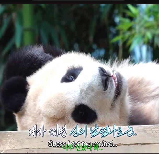@K-PANDA kim